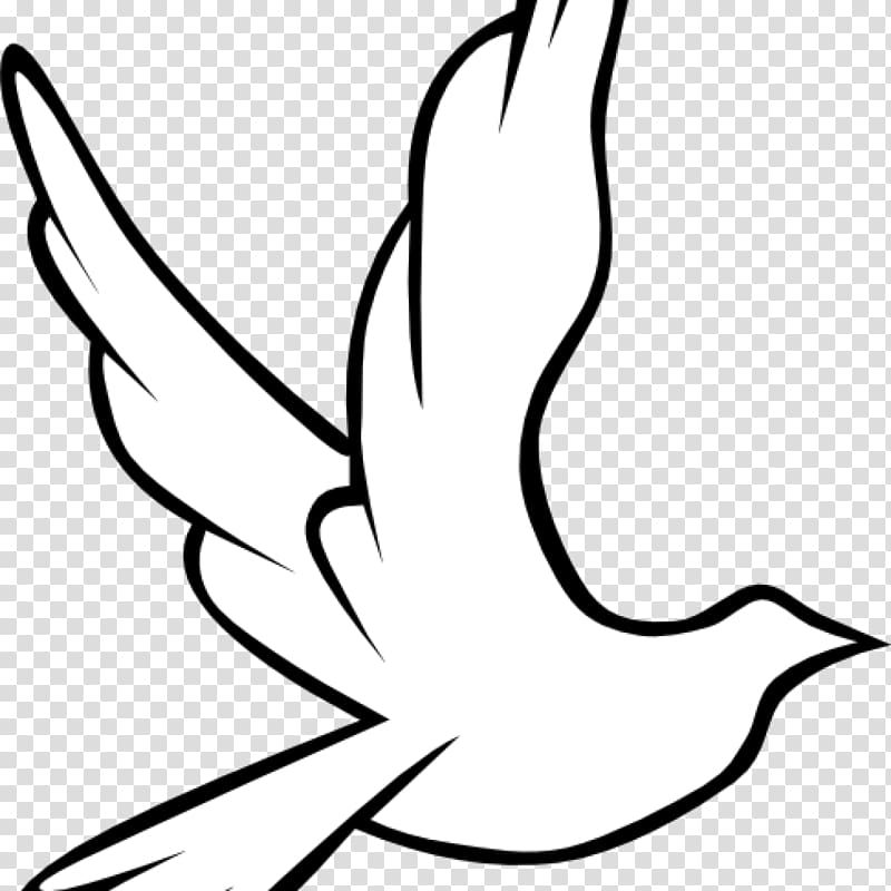 graphics Pigeons and doves Illustration, dove cross transparent background PNG clipart
