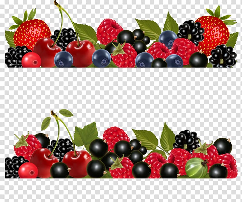 Huckleberry Fruit Blueberry, blueberries transparent background PNG clipart