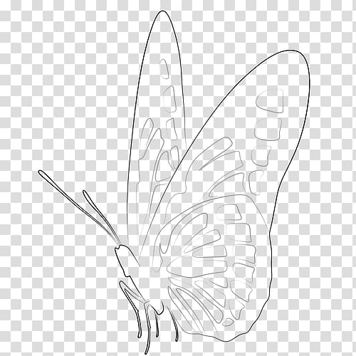 Featured image of post Butterfly Line Drawing Images
