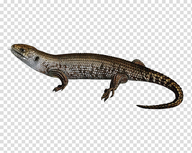 Lizard Common Iguanas Reptile, amphibian transparent background PNG clipart