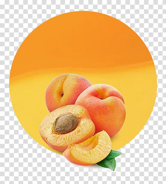 Apricot kernel Flavor Dried apricot, apricot transparent background PNG clipart