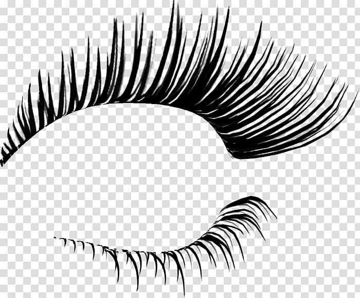 Eyelash extensions Cosmetics , others transparent background PNG clipart
