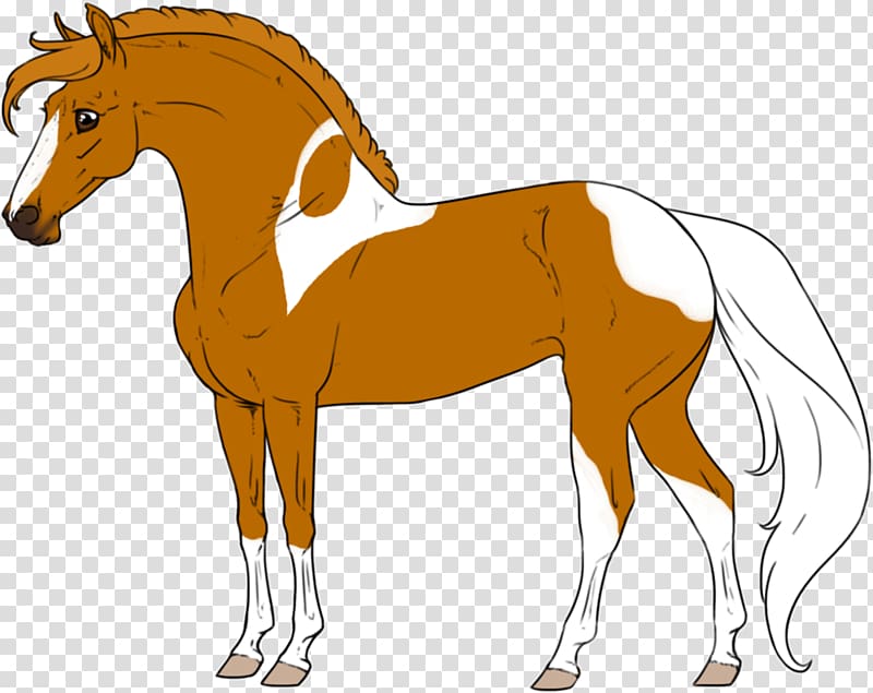 Foal Stallion Colt Mare Mustang, milky way transparent background PNG clipart