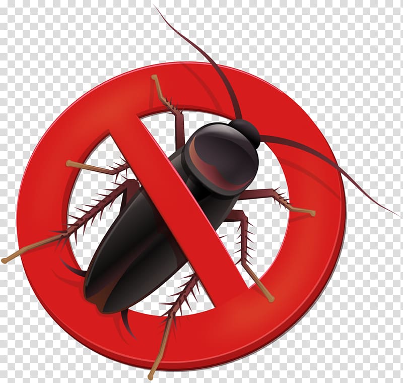 La Cucaracha 2k13 Dj Som & the Breros Pest Control Technology System, cockroach transparent background PNG clipart