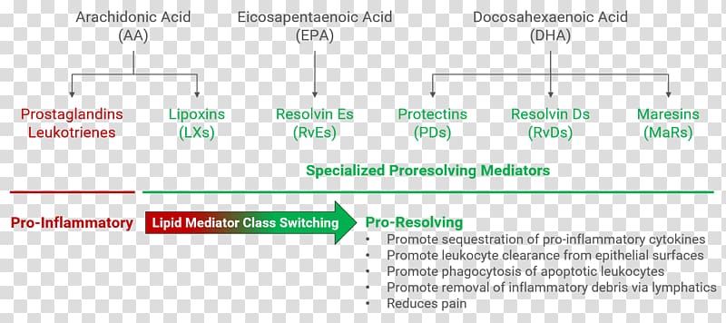 Thetis Pharmaceuticals LLC Biology Immunoglobulin class switching Business Park Drive Lipid, lipid transparent background PNG clipart