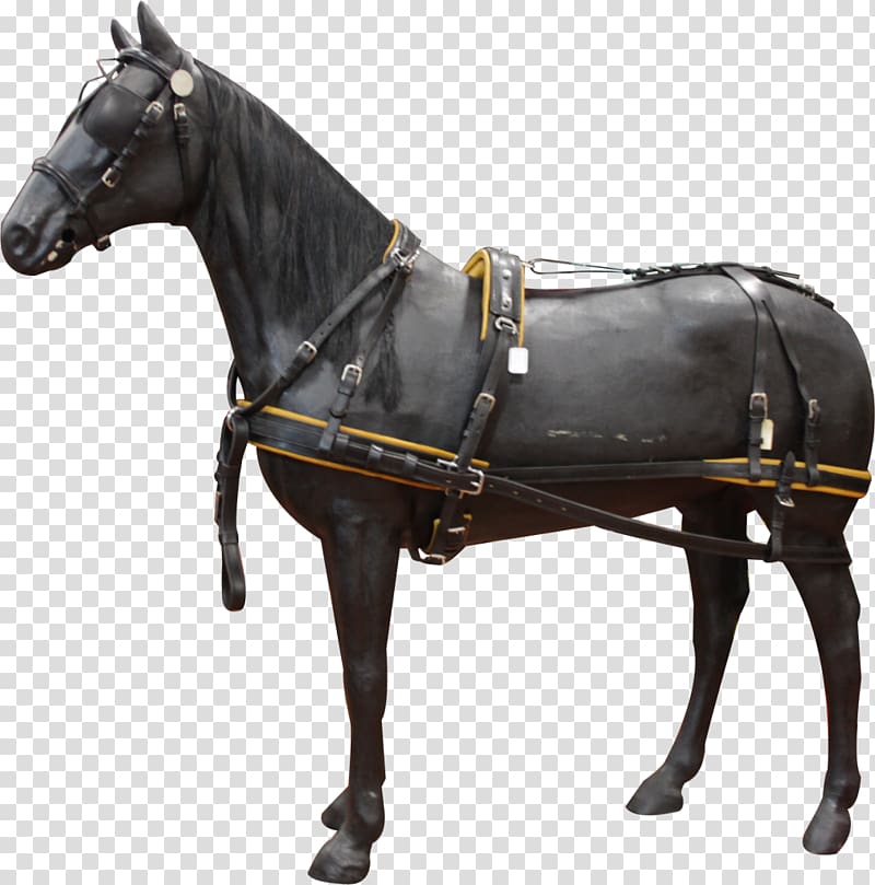 Horse Harnesses Stallion Mare Halter, horse transparent background PNG clipart