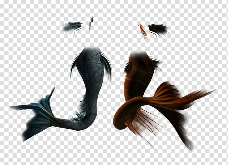 Rusalka Tail Mermaid , louboutin transparent background PNG clipart