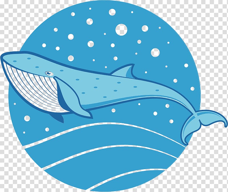 Dolphin Drawing Whale , nature sea animals whale transparent background PNG clipart