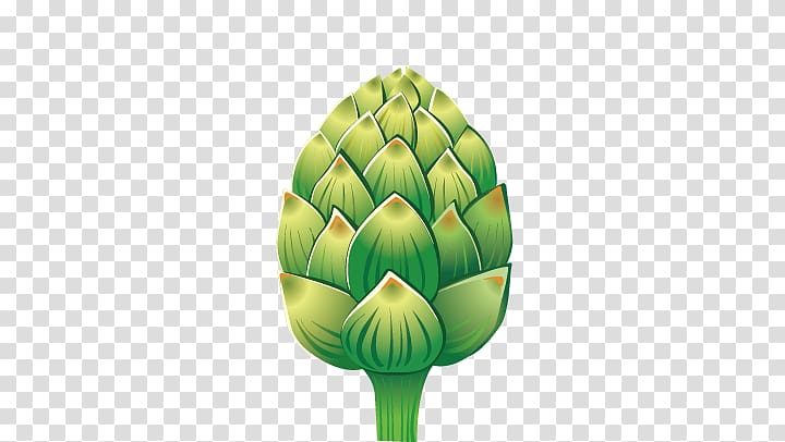 Artichoke, vegetables transparent background PNG clipart