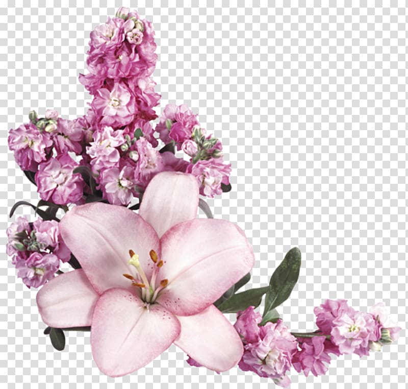Flower , pastel color transparent background PNG clipart