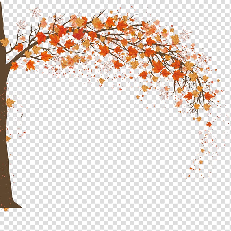 orange leafed tree, Autumn Adobe Illustrator, Autumn maple background design transparent background PNG clipart
