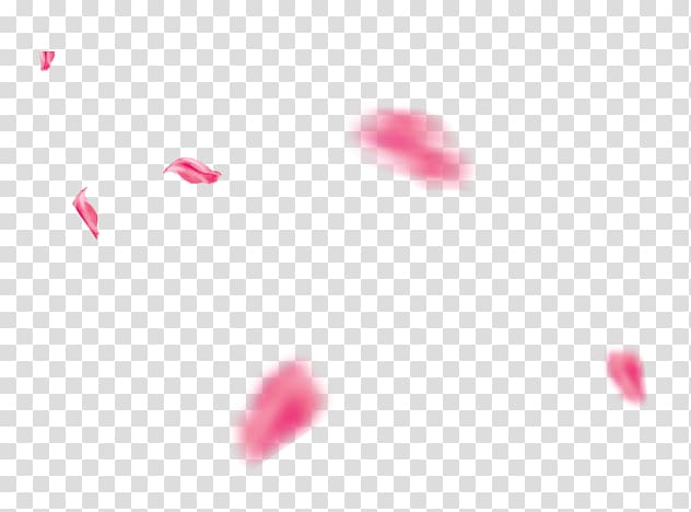 Petal Close-up Heart Pattern, Peach petals floating transparent background PNG clipart
