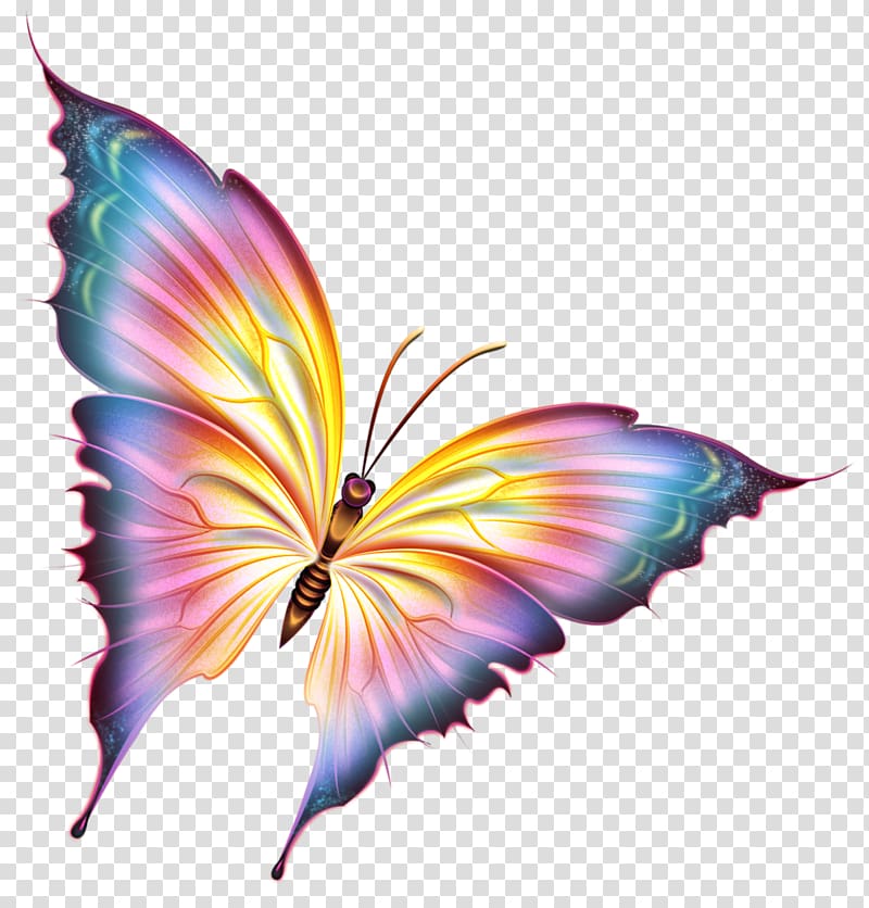 illustration colorful butterfly,cartoon butterfly dream transparent background PNG clipart