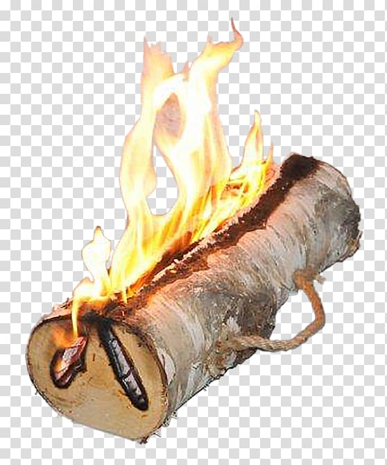 Bonfire Yule log Fireplace Light, burn transparent background PNG clipart