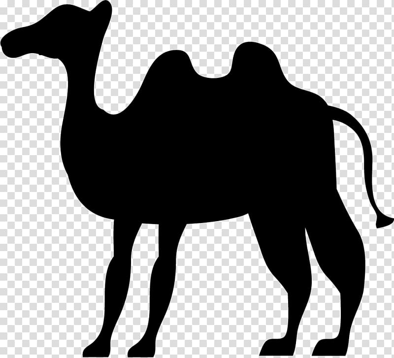 Camel Eid al-Adha , Black Camel transparent background PNG clipart