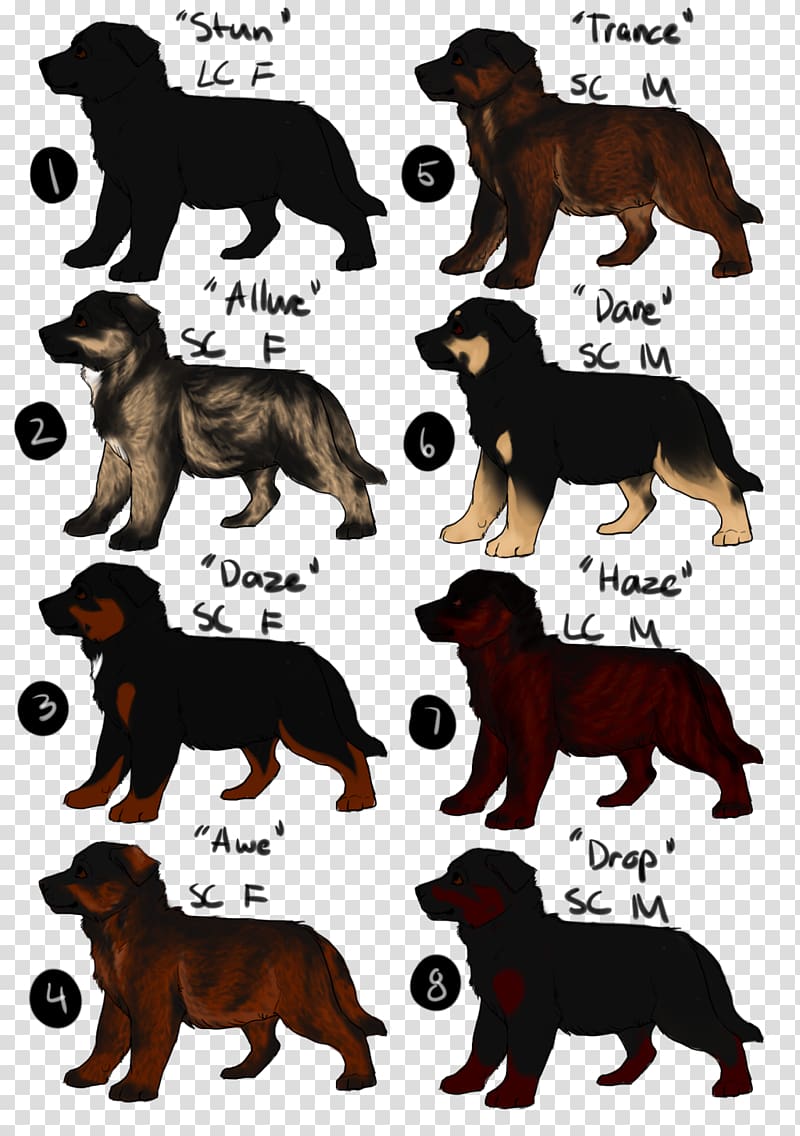 German Shepherd Litter Art Pit bull Pony, schutzhund transparent background PNG clipart