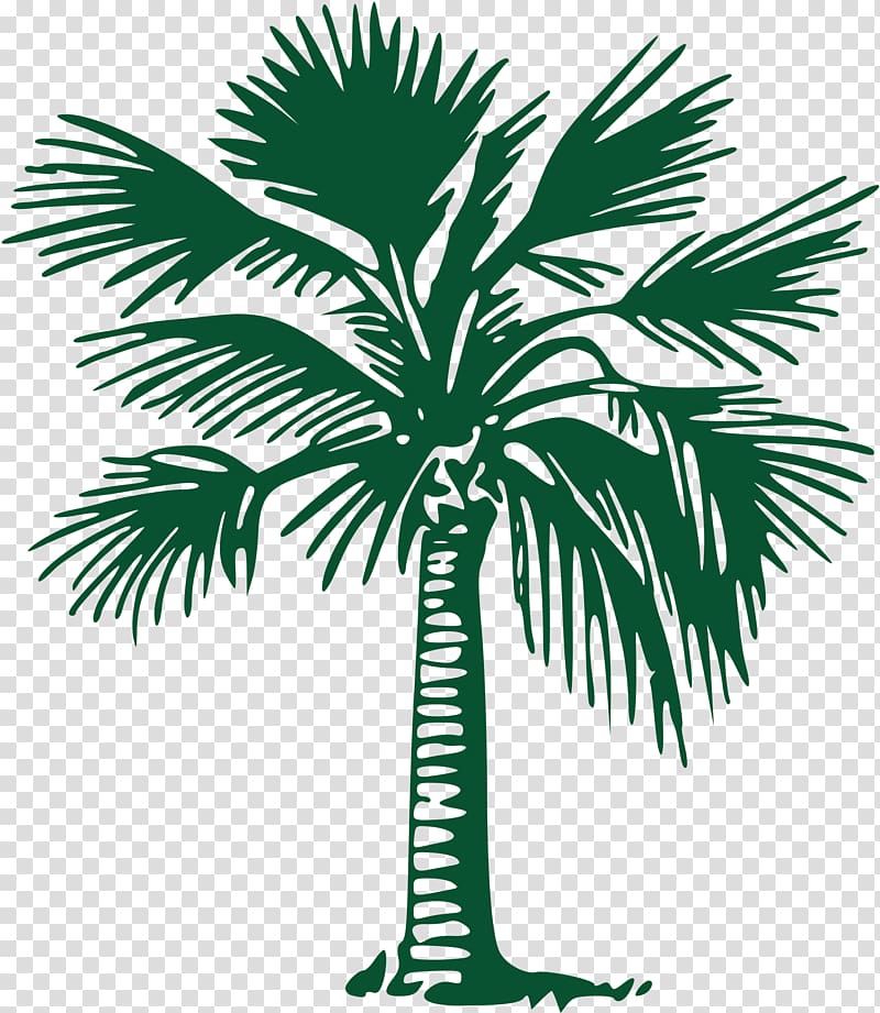 Asian palmyra palm Caronport Community Church Arecaceae Gold Coast Tree Lopping, palm tree transparent background PNG clipart