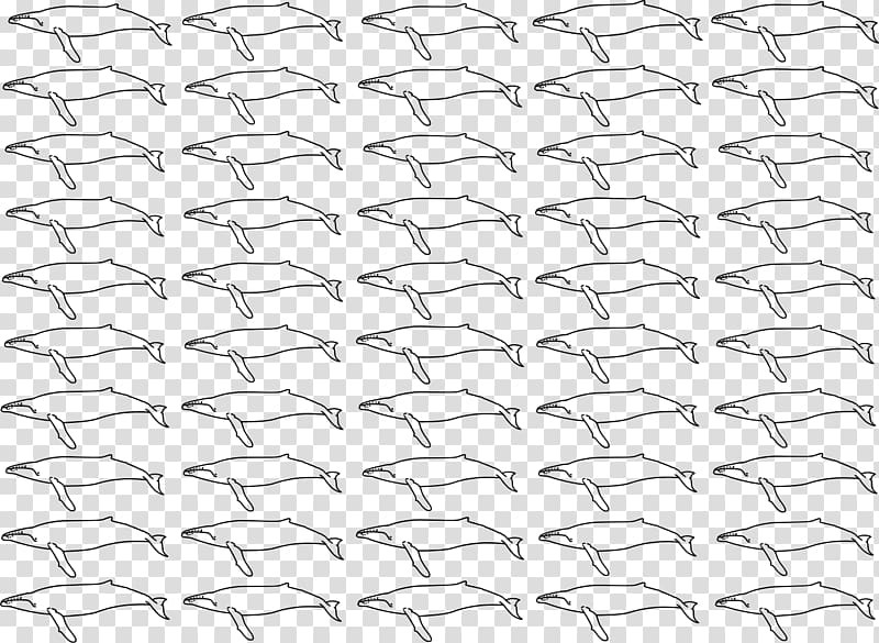 Line Point Angle White Material, Humpback Whale transparent background PNG clipart