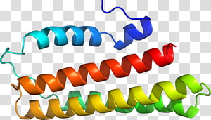 Line , design transparent background PNG clipart thumbnail