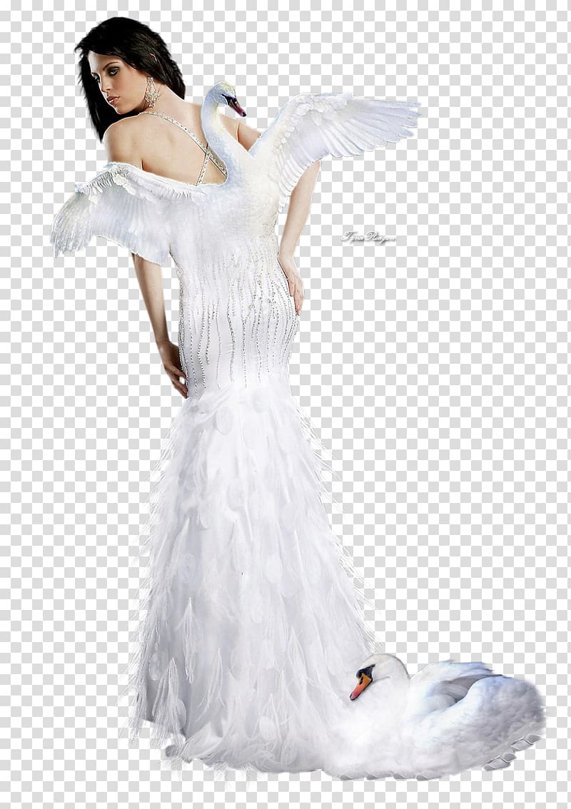 Swan dress Cygnini Wedding dress Costume, dress transparent background PNG clipart