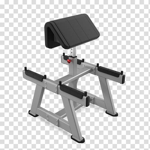 Bench Biceps curl Star Trac Exercise equipment Exercise Bikes, disturbance of flies while standing transparent background PNG clipart