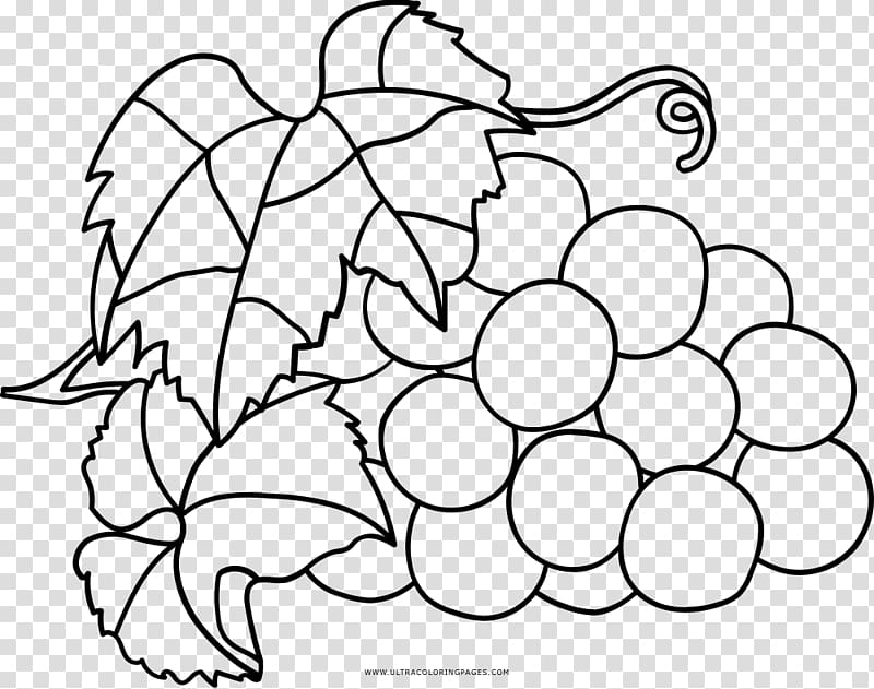 Coloring book Grape Drawing, grape transparent background PNG clipart