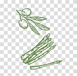 Plant Euclidean , plant transparent background PNG clipart thumbnail