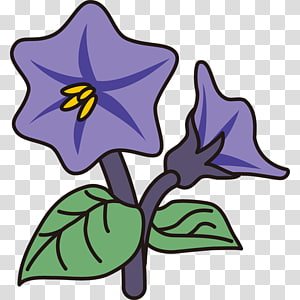 Cut flowers Eggplant Plant stem , eggplant transparent background PNG clipart thumbnail
