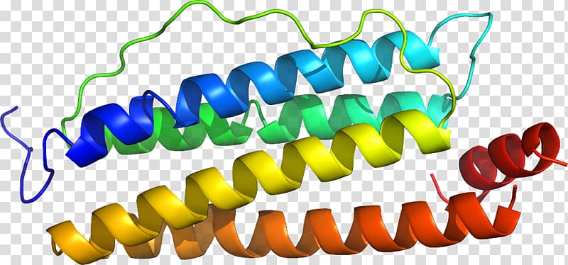 Line , design transparent background PNG clipart