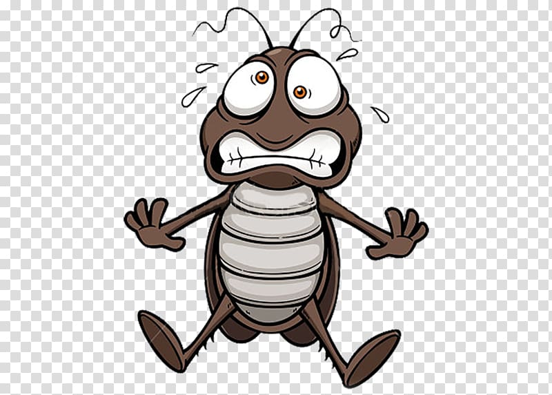 German cockroach Drawing, cockroach transparent background PNG clipart