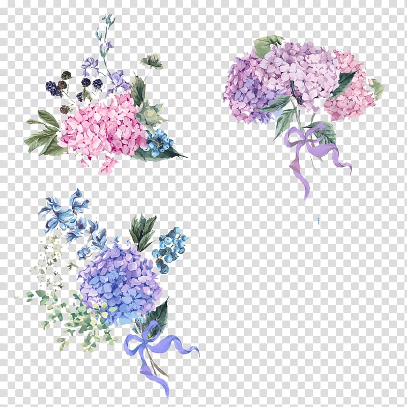 hand painted hydrangea transparent background PNG clipart