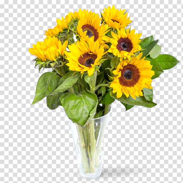 Common sunflower Cut flowers Flower bouquet Lily of the Incas, gift flower transparent background PNG clipart