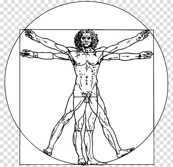 Vitruvian Man Renaissance graphics , leonardo davinci transparent background PNG clipart