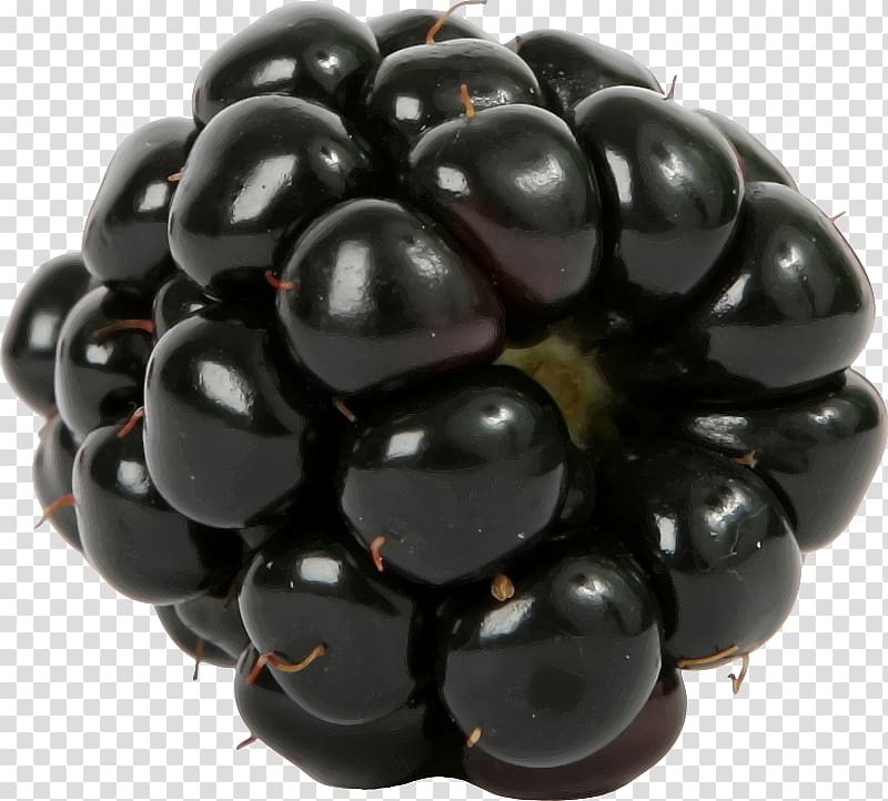 Blackberry Fruit salad Raspberry, Blackberry transparent background PNG clipart