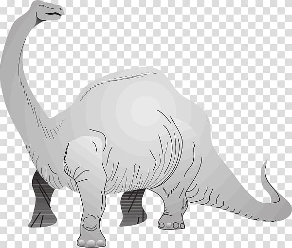 Brachiosaurus Apatosaurus Tyrannosaurus Stegosaurus Brontosaurus, dinosaur transparent background PNG clipart