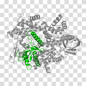 Logo Tree Font, tree transparent background PNG clipart thumbnail