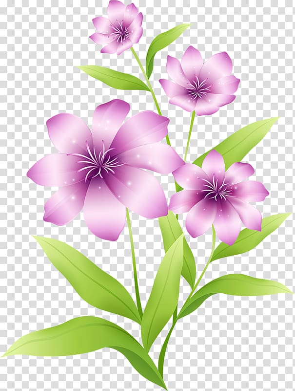 pink flowers illustration, Flower Pink Purple , Large Light Pink Flowers transparent background PNG clipart