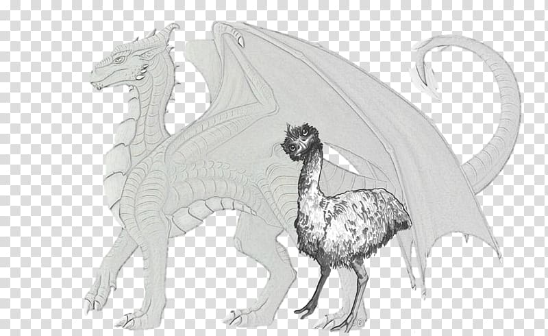 Wildlife Fauna Line art Extinction Sketch, Emu transparent background PNG clipart