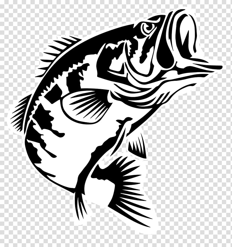 Bass fishing Largemouth bass 2016 Bassmaster Classic Bass Anglers Sportsman Society, fishing transparent background PNG clipart