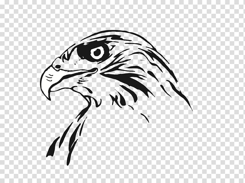 Drawing Bird Line art Hawk, Hawk transparent background PNG clipart