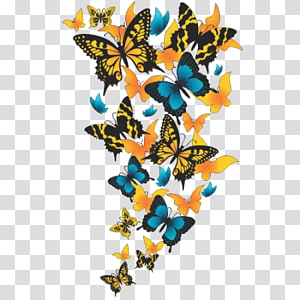 Butterfly , butterfly transparent background PNG clipart thumbnail