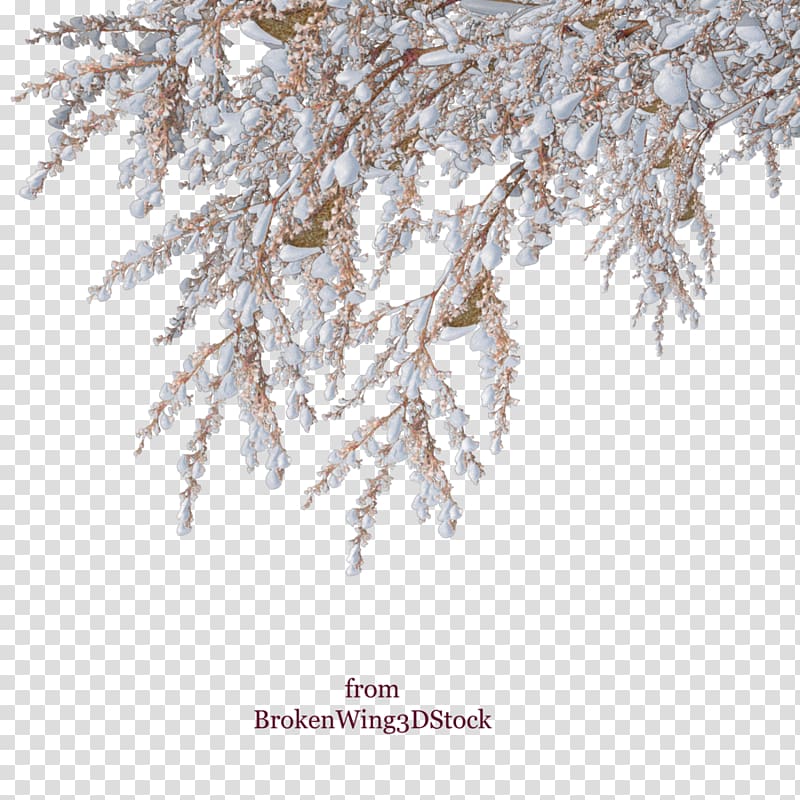 Snow Winter Shrub Tree, Snow transparent background PNG clipart