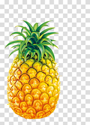 Pineapple Juice Fruit Bromelain , Big Pineapple transparent background PNG clipart thumbnail