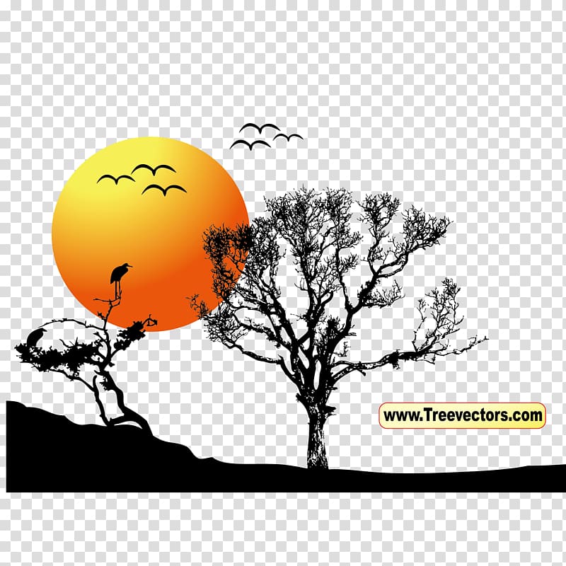 Tree Sunset , tree and sun transparent background PNG clipart