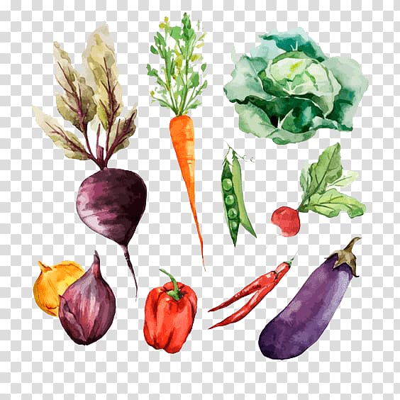 Root Vegetables Watercolor painting Drawing, vegetable transparent background PNG clipart