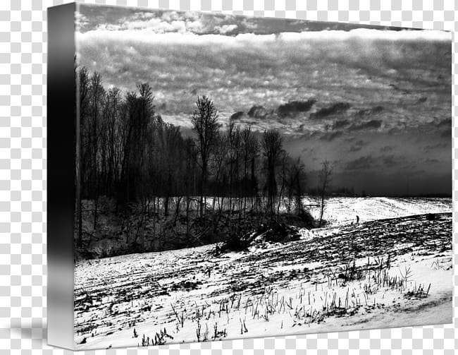 Monochrome Frames, landscape paintings transparent background PNG clipart