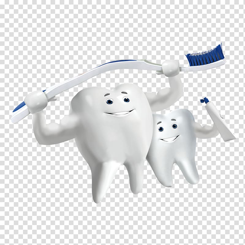 Tooth whitening Tooth brushing Dentistry, Teeth holding a toothbrush transparent background PNG clipart