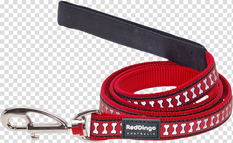 Dingo Dog Leash Pet Lead, red collar transparent background PNG clipart
