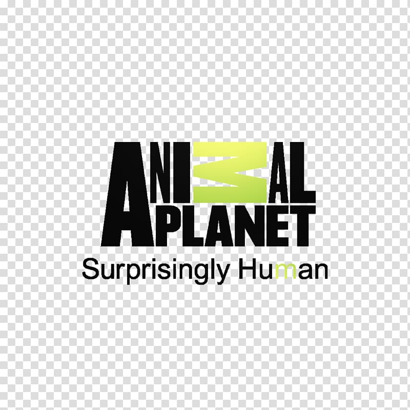 Animal Planet Cat Television channel Discovery Channel, O creative transparent background PNG clipart