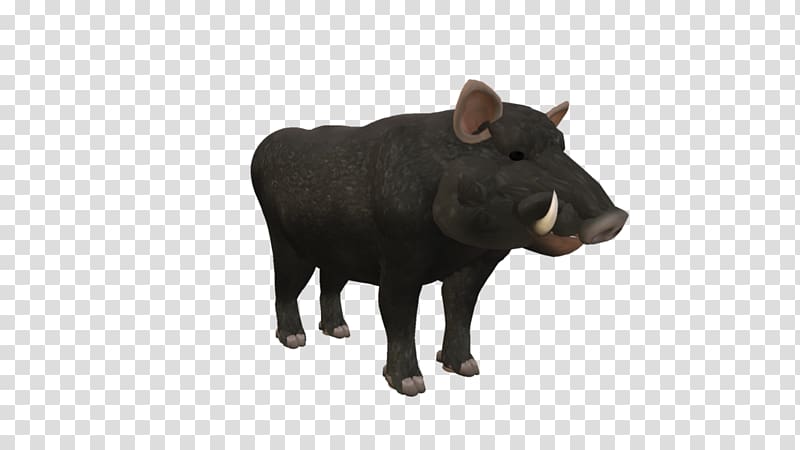 Boar transparent background PNG clipart